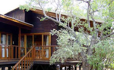 maison bois le bois c'est bio